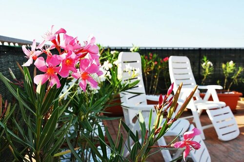 Апартаменты I tre Golfi Plumbago Blu