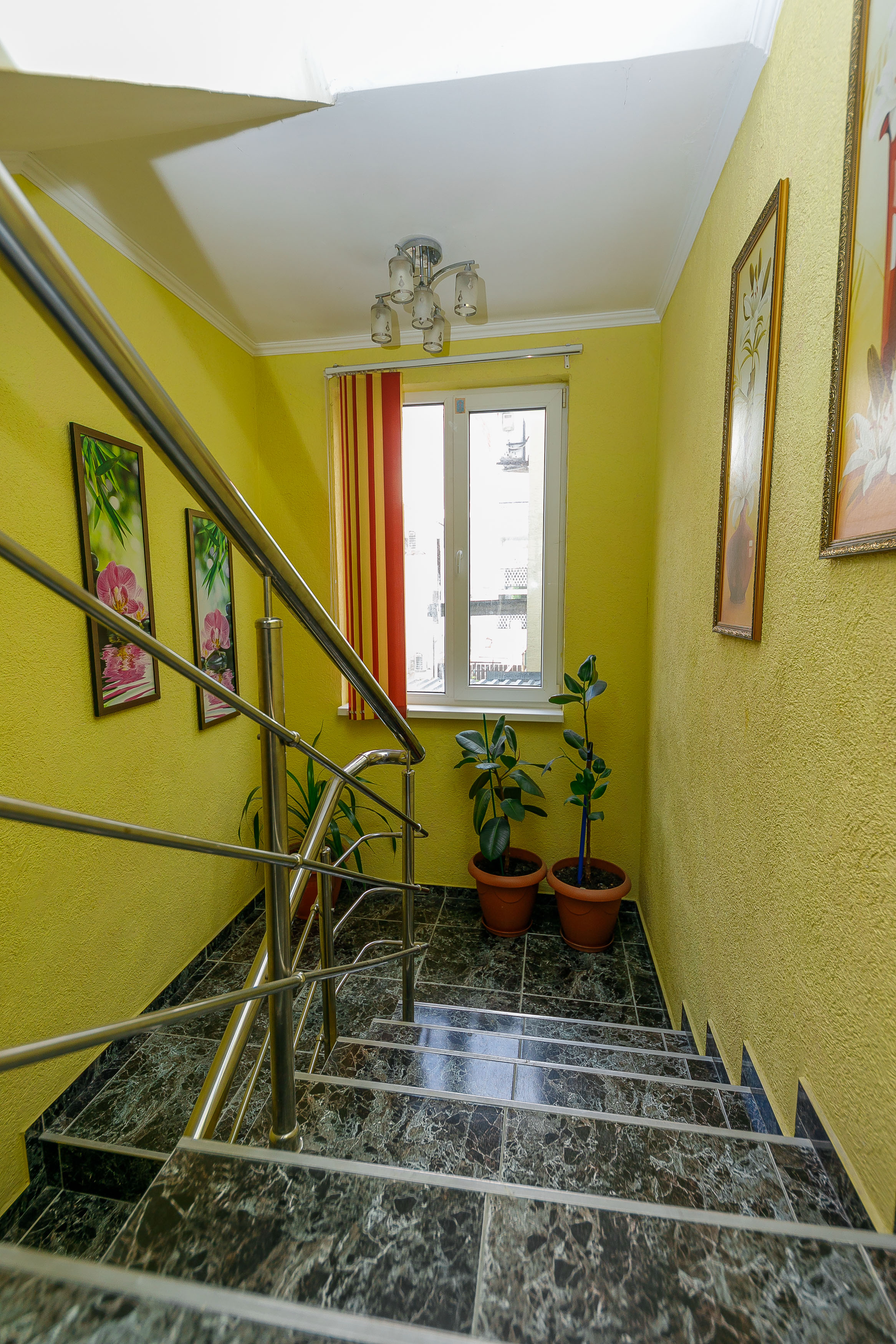 Фото У Елены