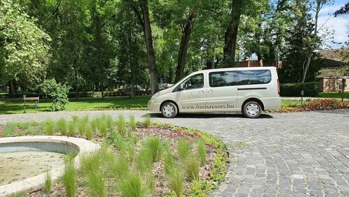 Гостиница Főnix Medical Wellness Resort