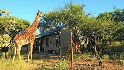 Гостиница Marulani Bush Lodge