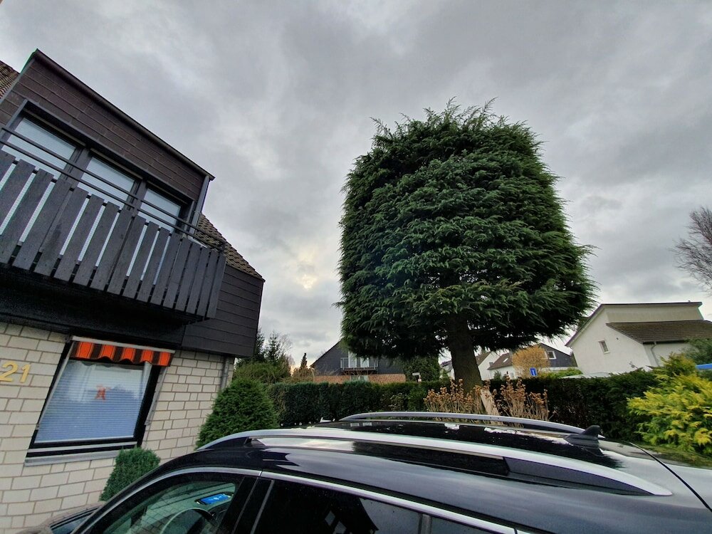 Фото Business Apartments Ost