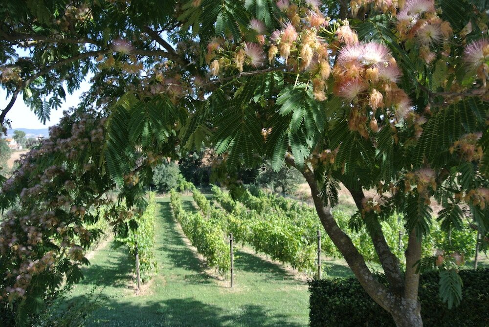 Фото Agriturismo i Profumi dell'Orto