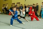 Oblastnaya Samarskaya federatsiya Ushu (Frunze Street, 35), sports club