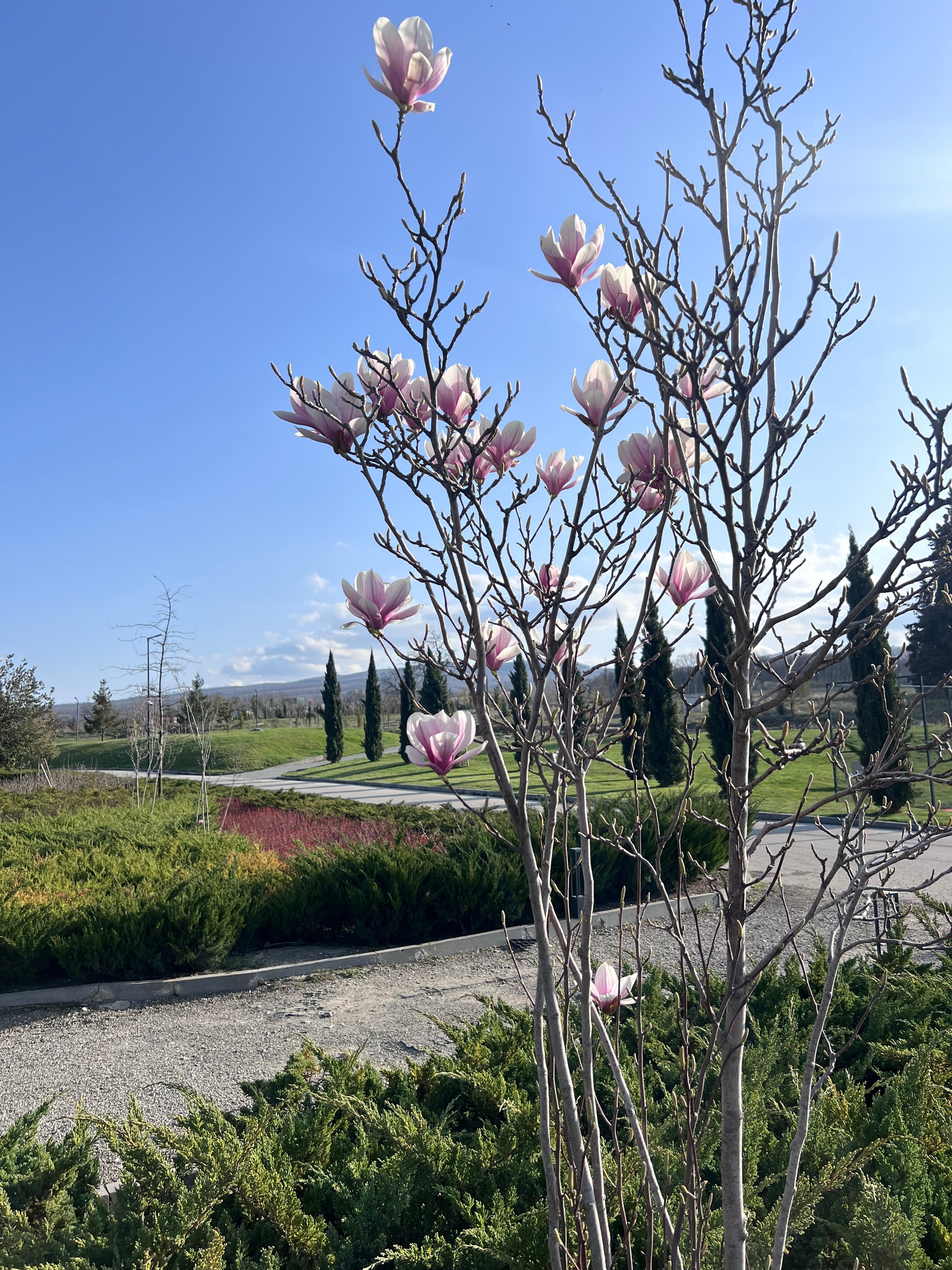 Фото Tsinandali Estate, A Radisson Collection Hotel