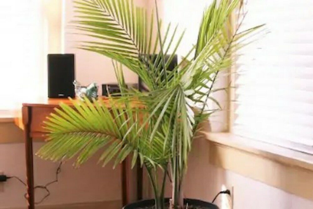 Фото Evie's apartment