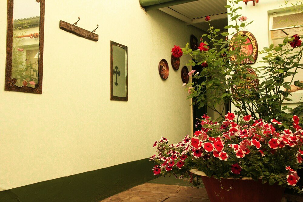 Фото Mountain View Boutique Hotel