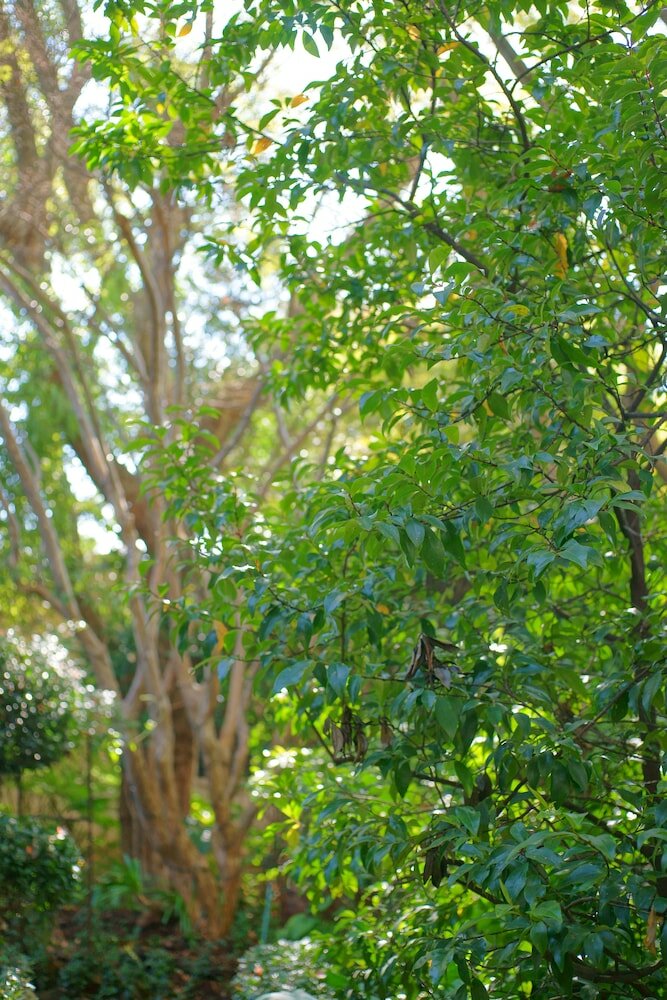 Фото Foxwood House