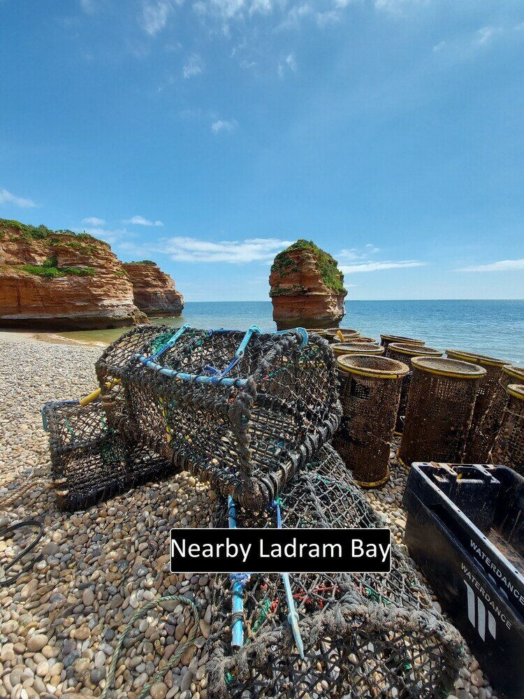 Фото Netherleigh Bed & Breakfast