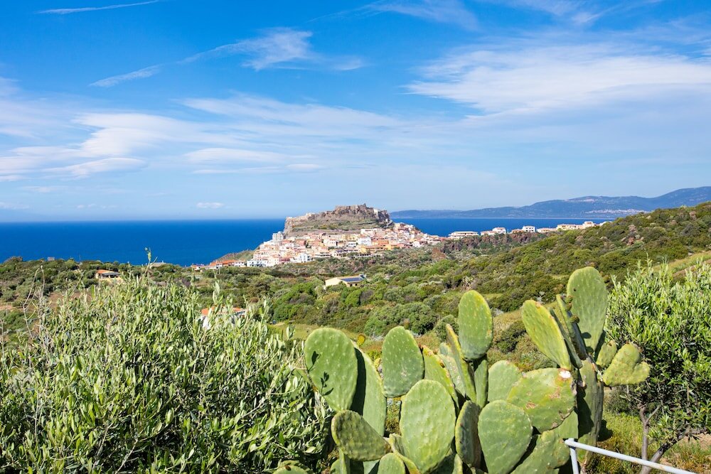 Фото Bajaloglia Resort