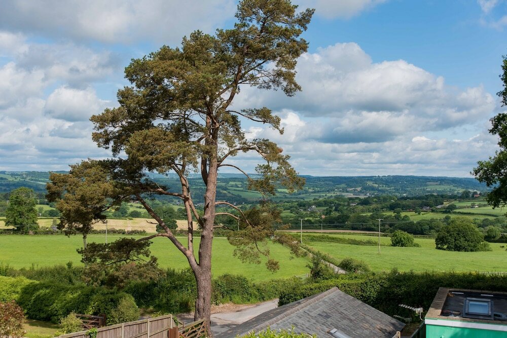 Фото Netherleigh Bed & Breakfast