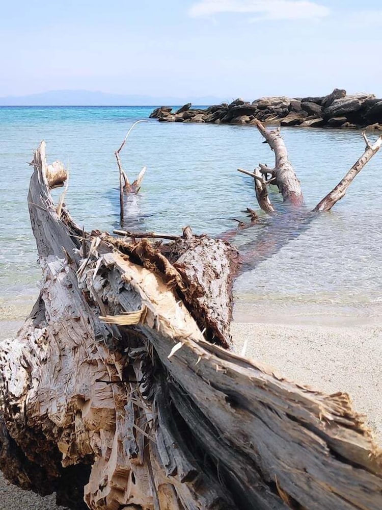 Фото Elizabeth Hotel