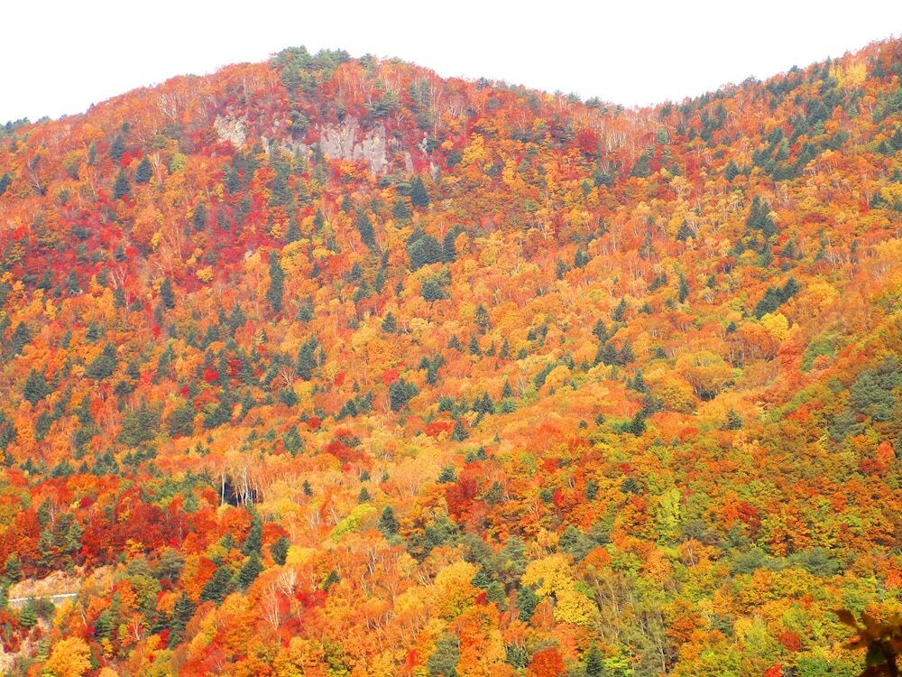 Фото Okuyama Pension Radish