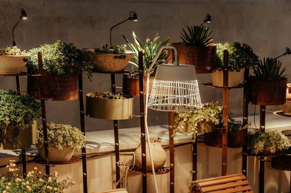 Фото Pollicastro Boutique Hotel