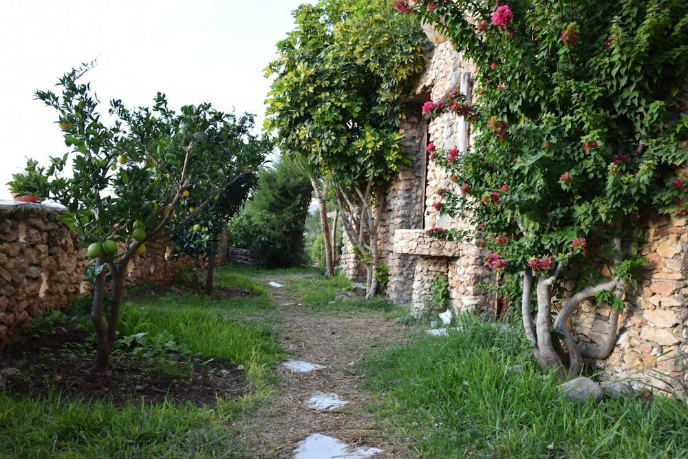 Фото Hotel Leonor