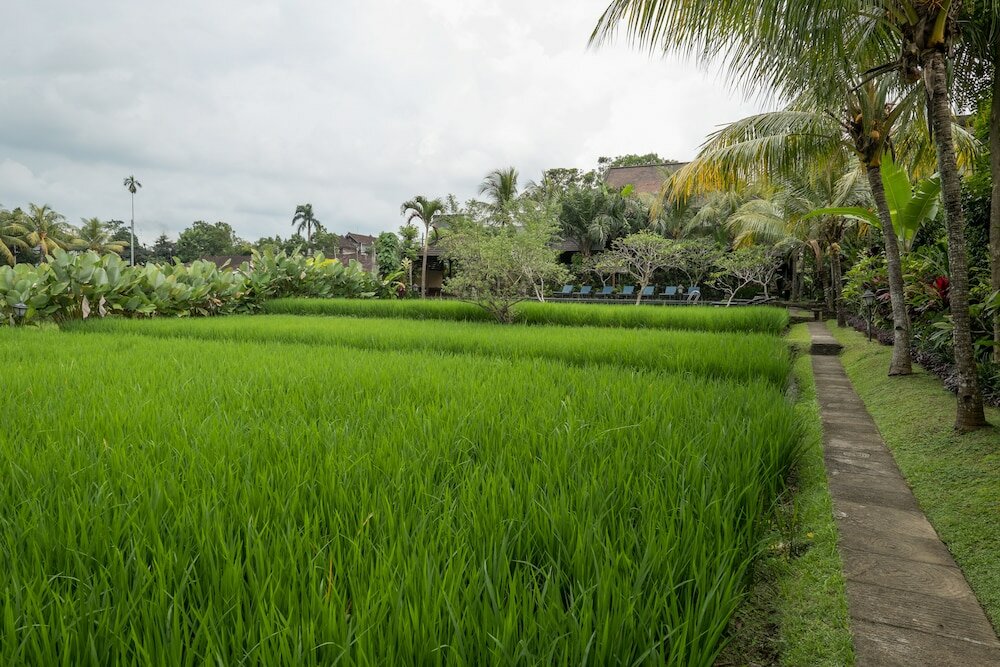 Фото Bliss SPA Ubud Hotel