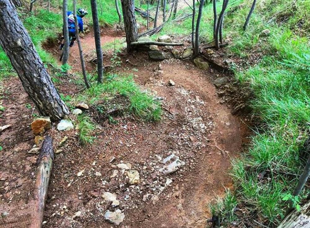 Фото San Pietro Palace Hotel