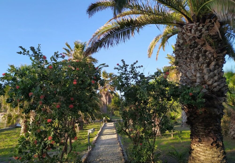 Фото MammaColette