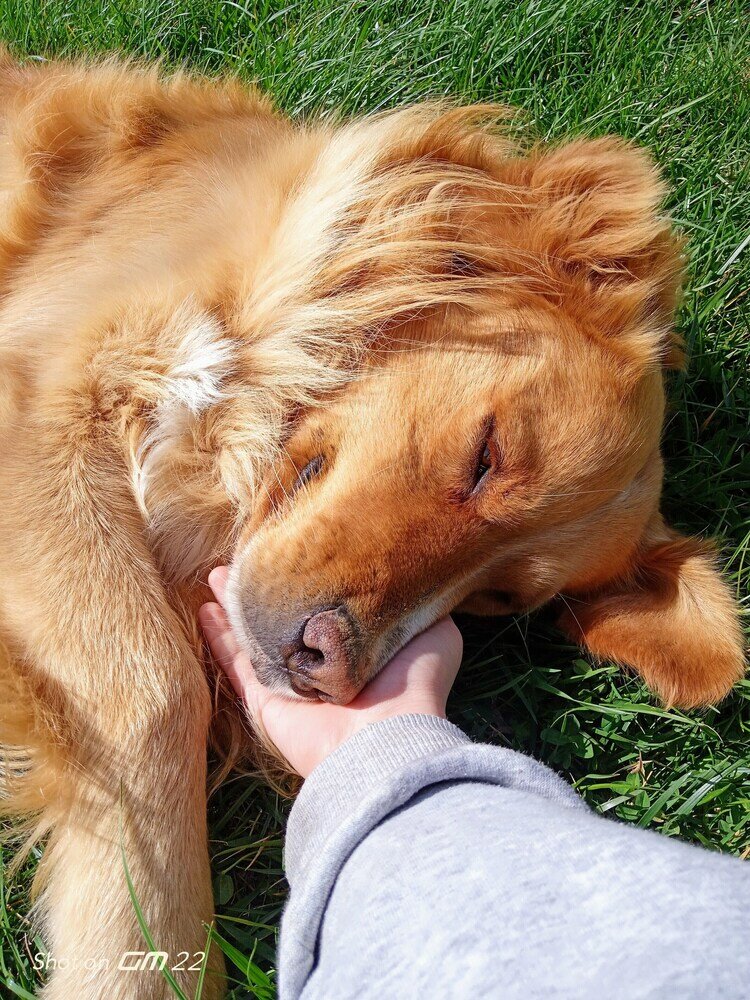 Фото Kardeliz Butik Otel