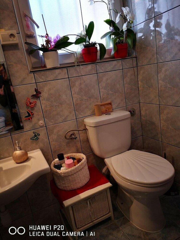 Фото Apartments Bingo One Bedroom