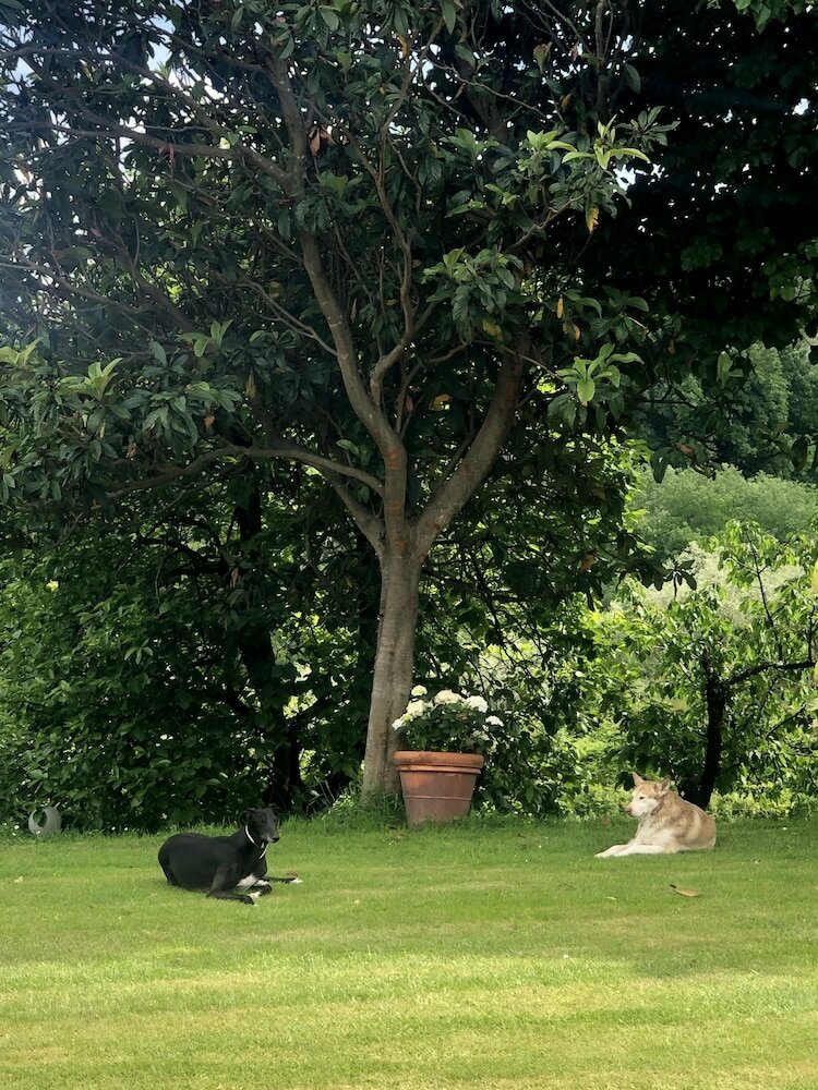 Фото Мини-отель La Piana