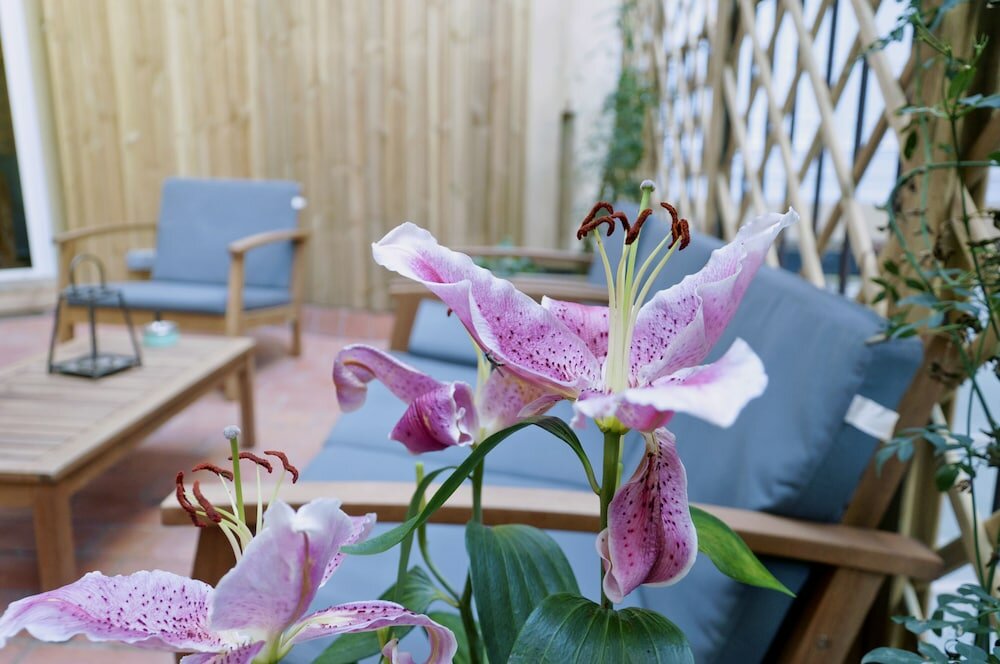 Фото Cosmopolitan Boutique Rambla