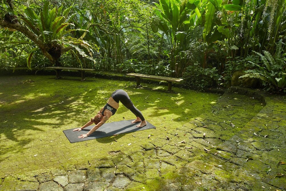 Фото The Farm at San Benito