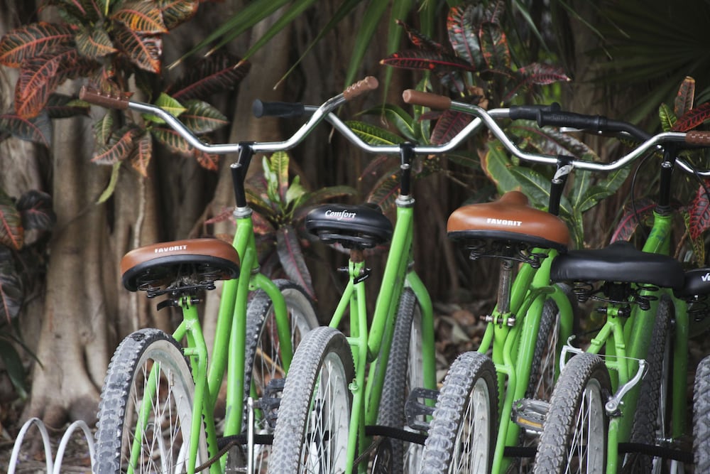 Фото Select Club at Sandos Caracol All Inclusive - Adults Only Area