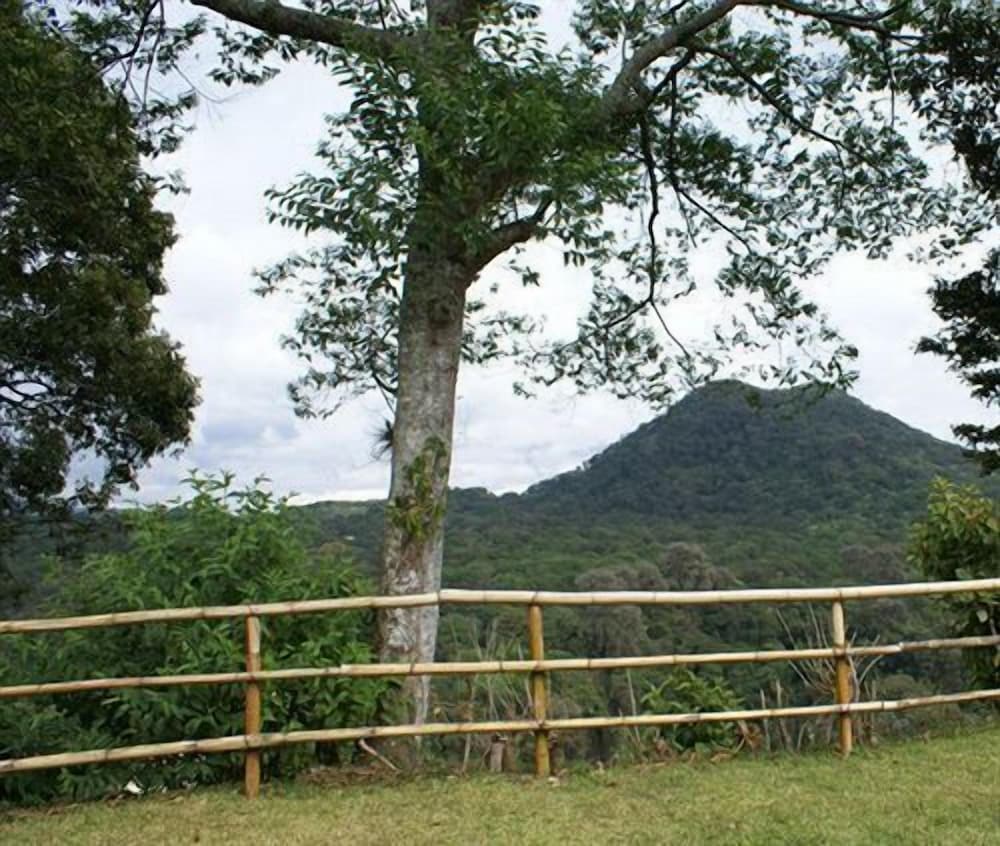 Фото Finca Santa Rosa