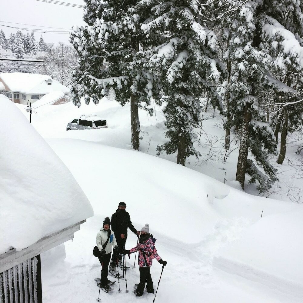 Фото Myoko Forest Lodge - Hostel