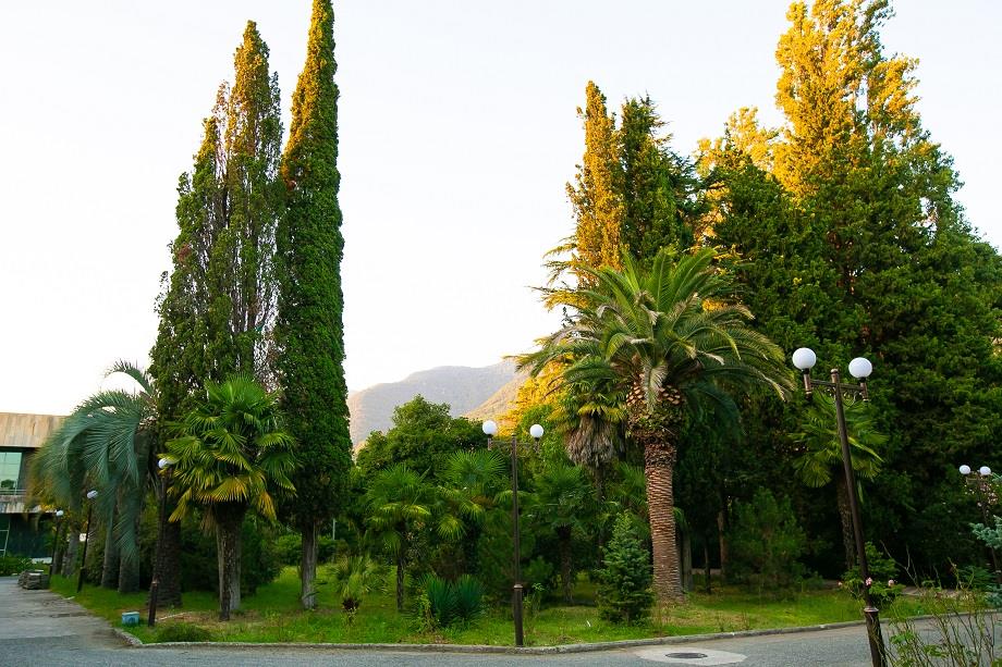 Фото Изумруд