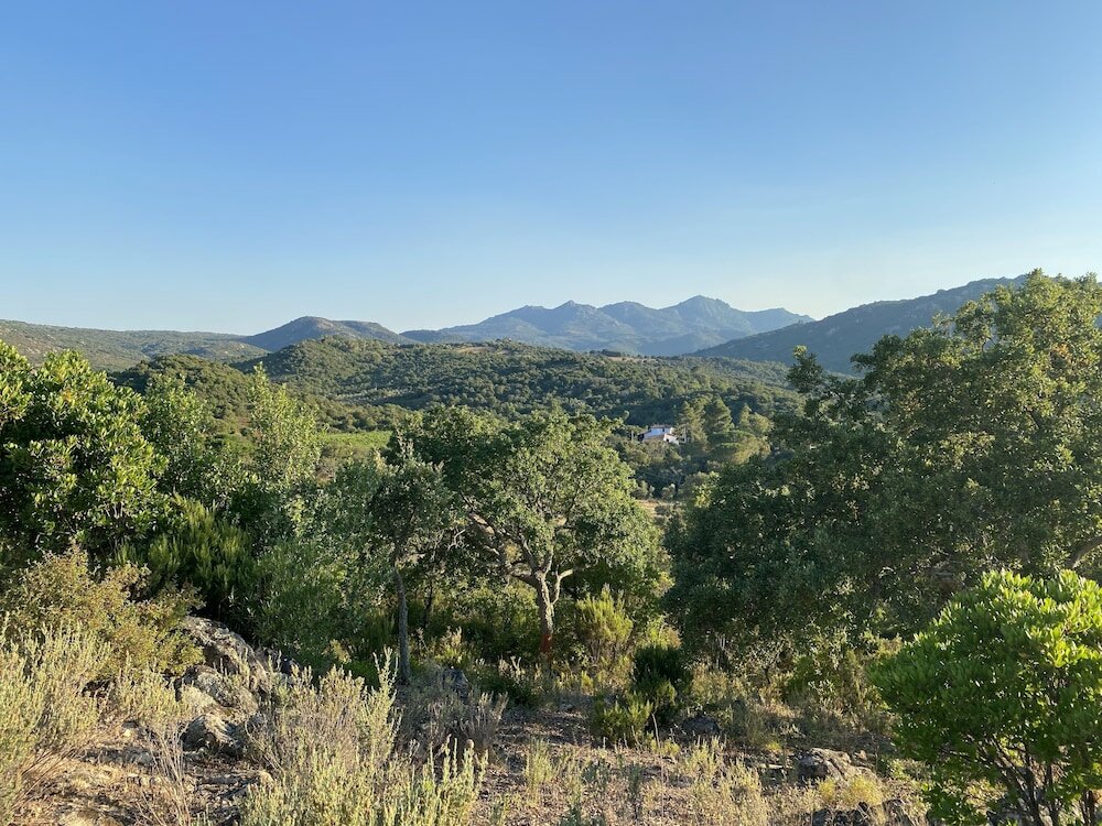 Фото Li Paduleddi Country Guest House