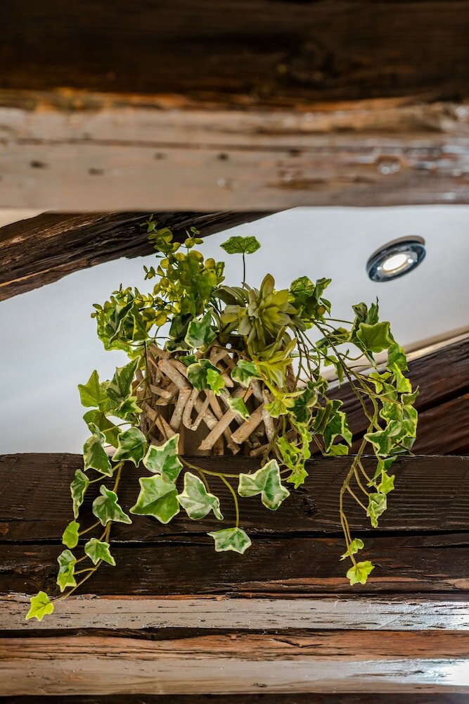 Фото Apartment Ami