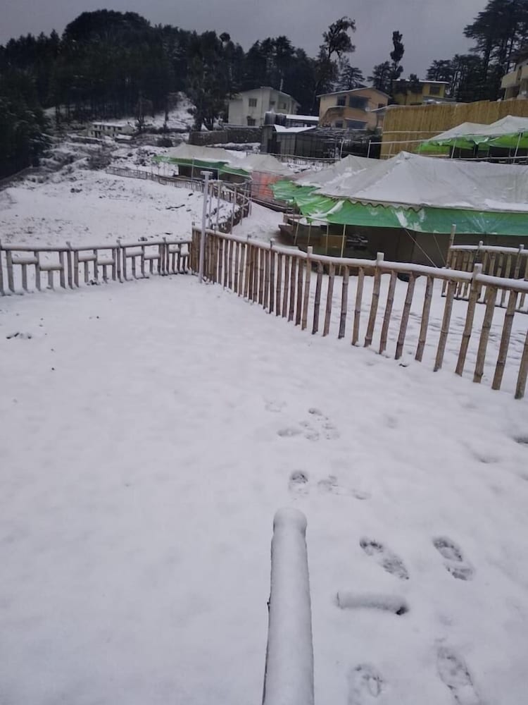 Фото Junglee Camps & Resort