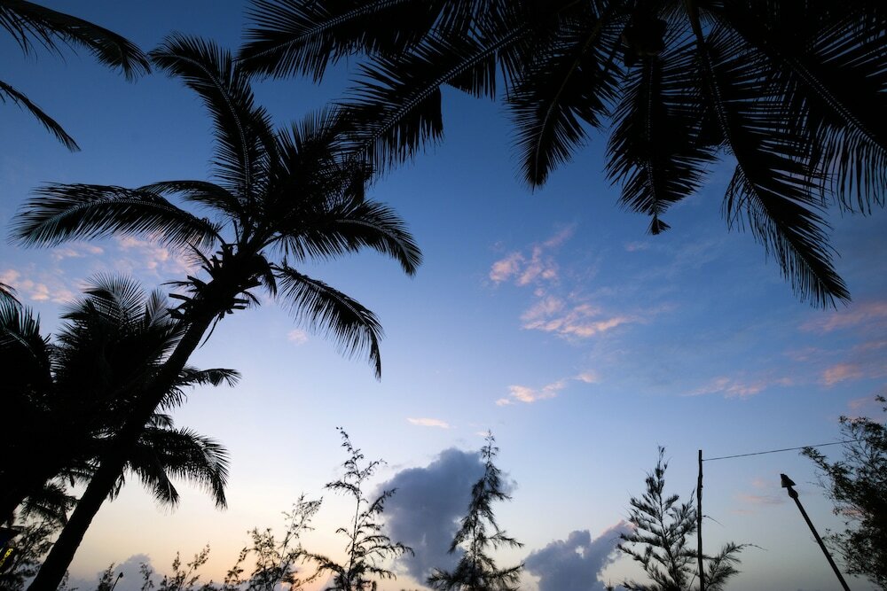 Фото Arabian Sands Beach Resort