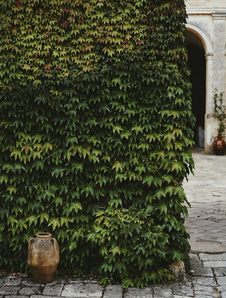 Фото Palazzo Daniele