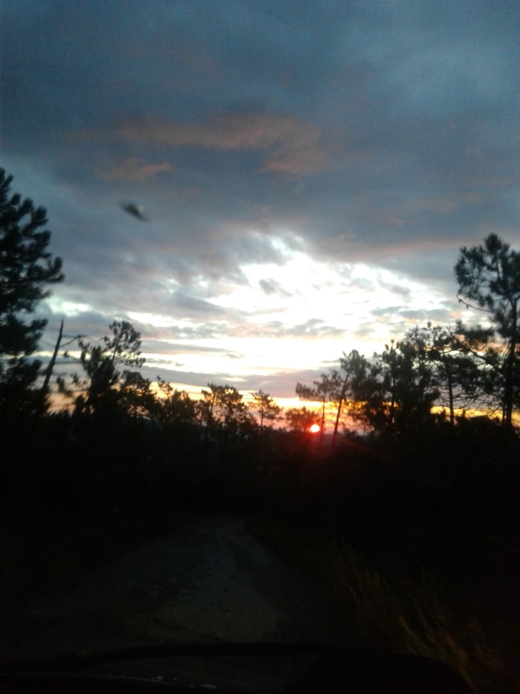 Фото Rifugio Escursionistico Cascina Porro