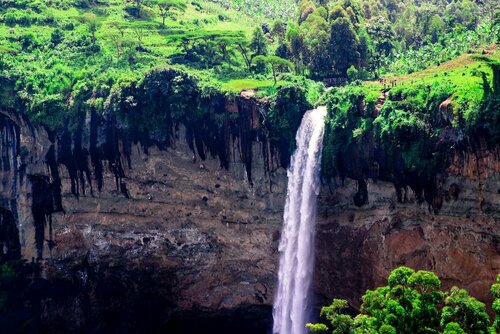 Гостиница Sipi Falls lodge