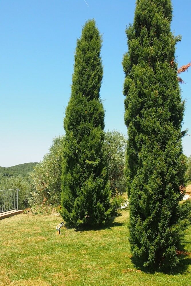 Фото Colle Berto