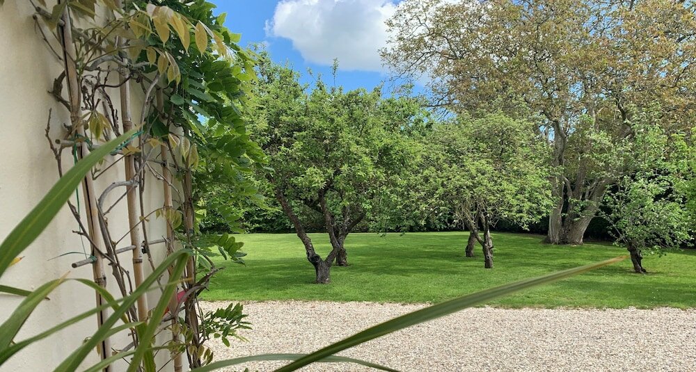 Фото Hope Orchard Bed & Breakfast