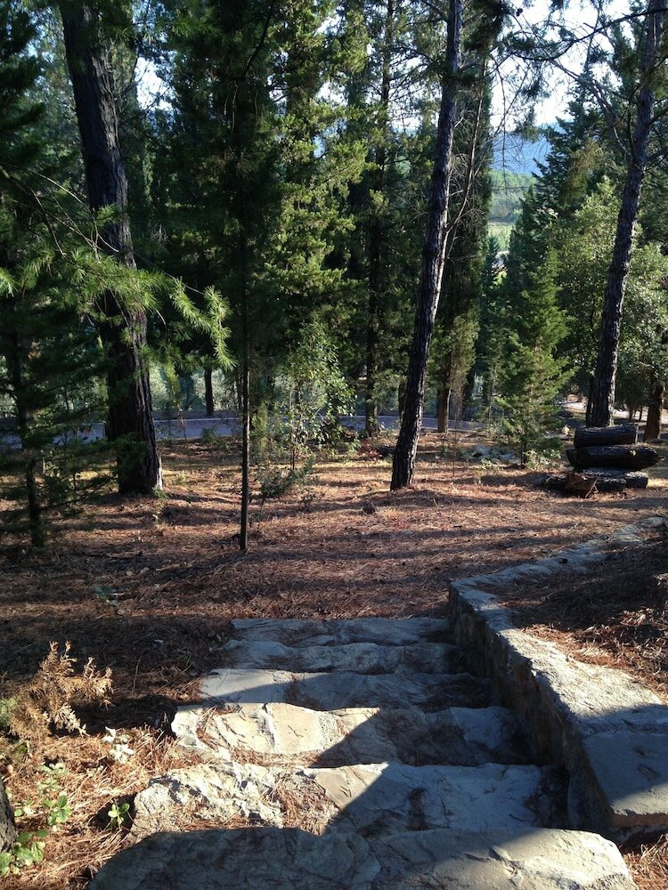 Фото Colle Berto