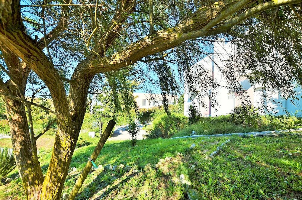 Фото Hilltop Oasis - Lisboa Oeiras