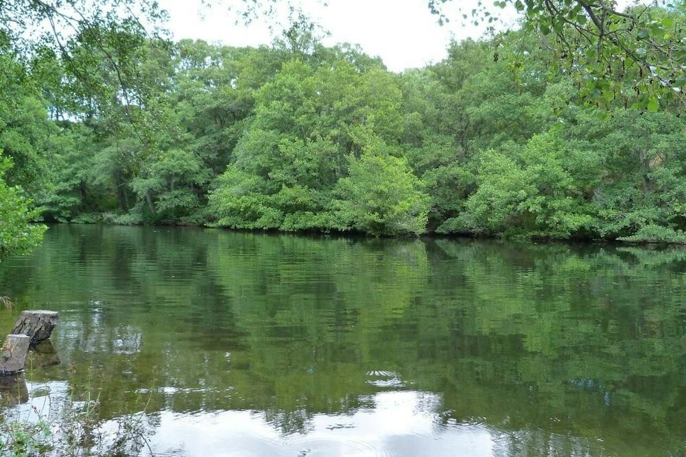 Фото Hostal Arribes Del Duero