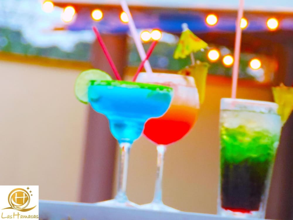 Фото Hotel Las Hamacas