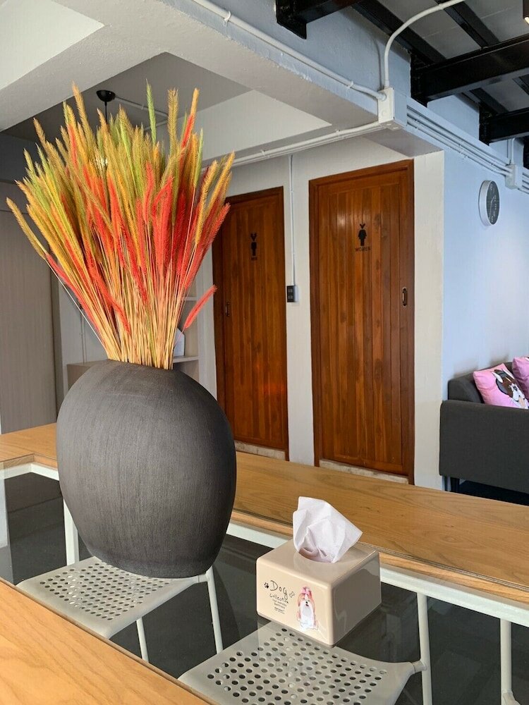 Фото Busket Hostel