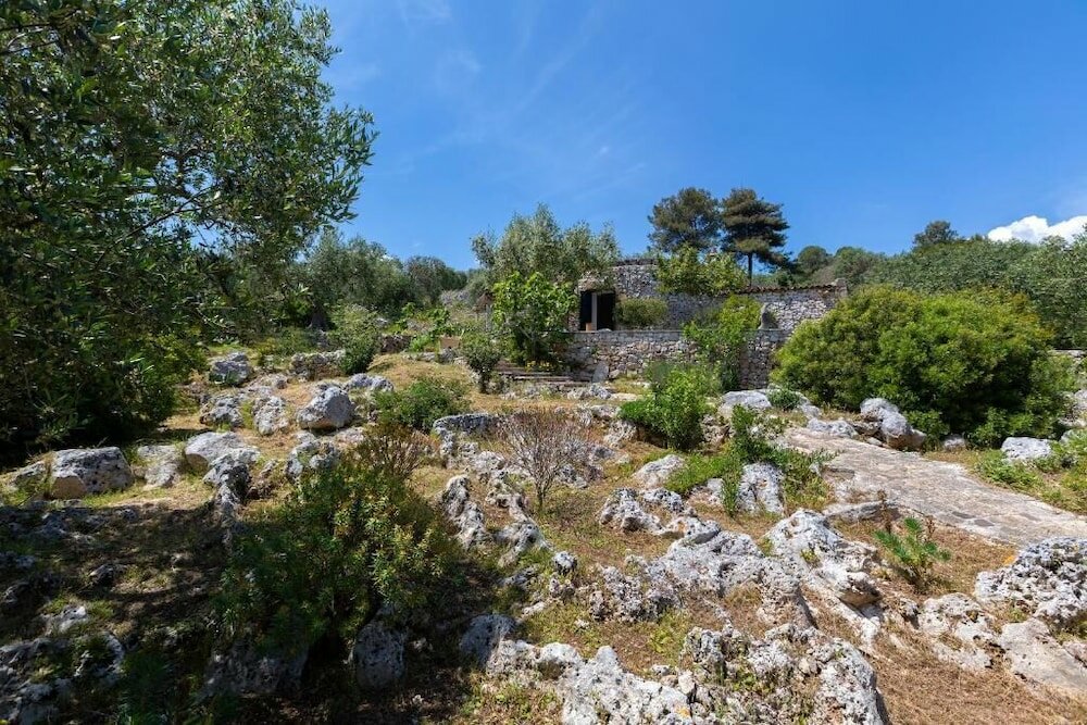 Фото Pajara Rugiada