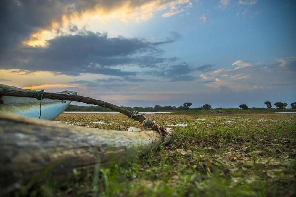 Фото Wadula Safari Yala