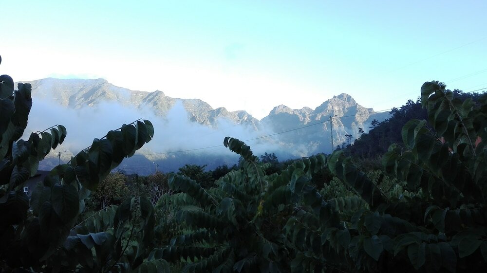 Фото Grannys Farm