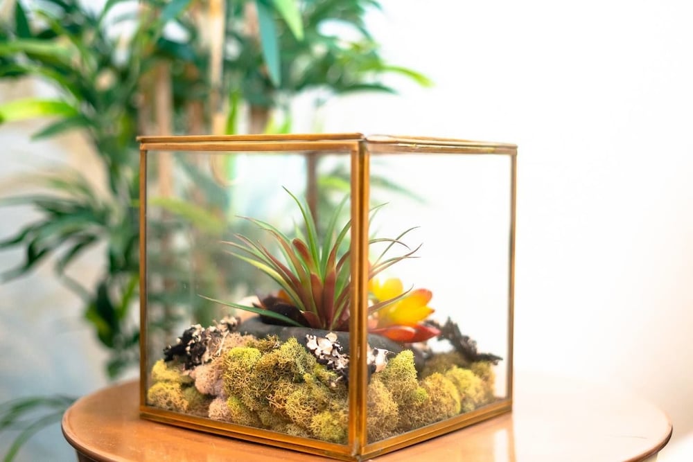 Фото The Mile High Townhome Walk to the Stadium