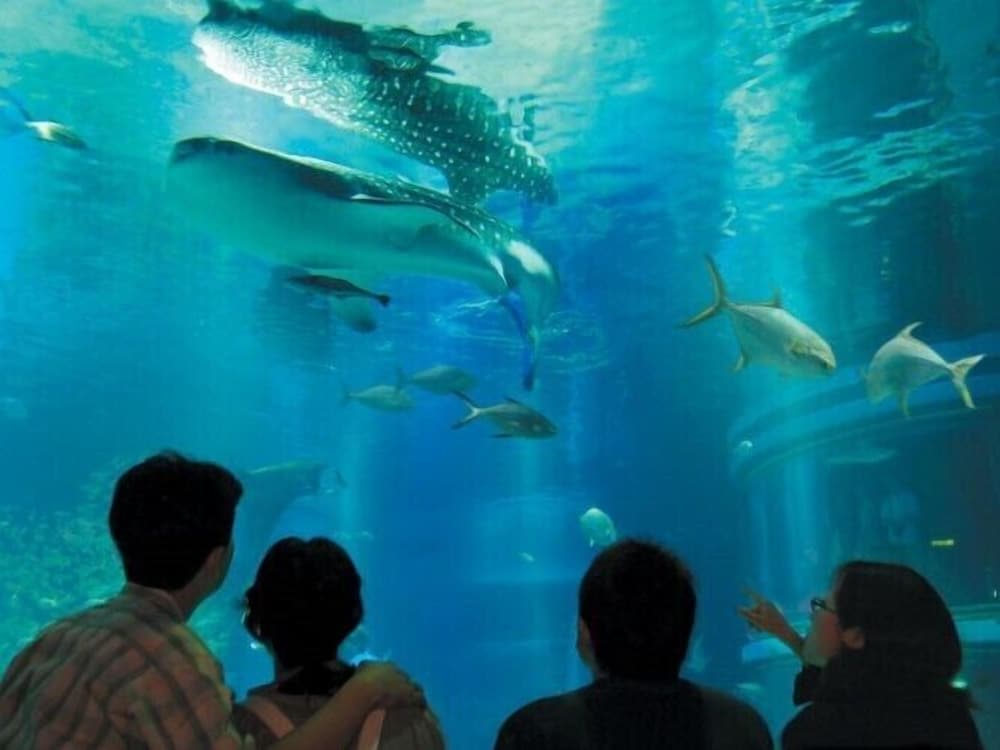 Фото Henn na Hotel Kansai Airport