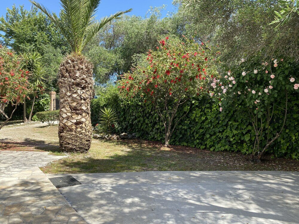 Фото Alexander Apartments